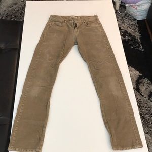Patagonia Corduroy Pants